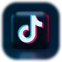 Niewiadow Wohnwagen bei TikTok